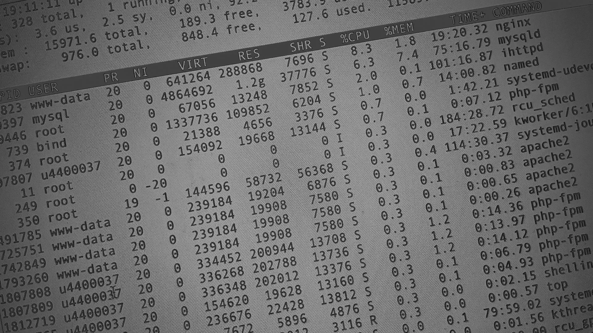 Настройка сервера в Короче