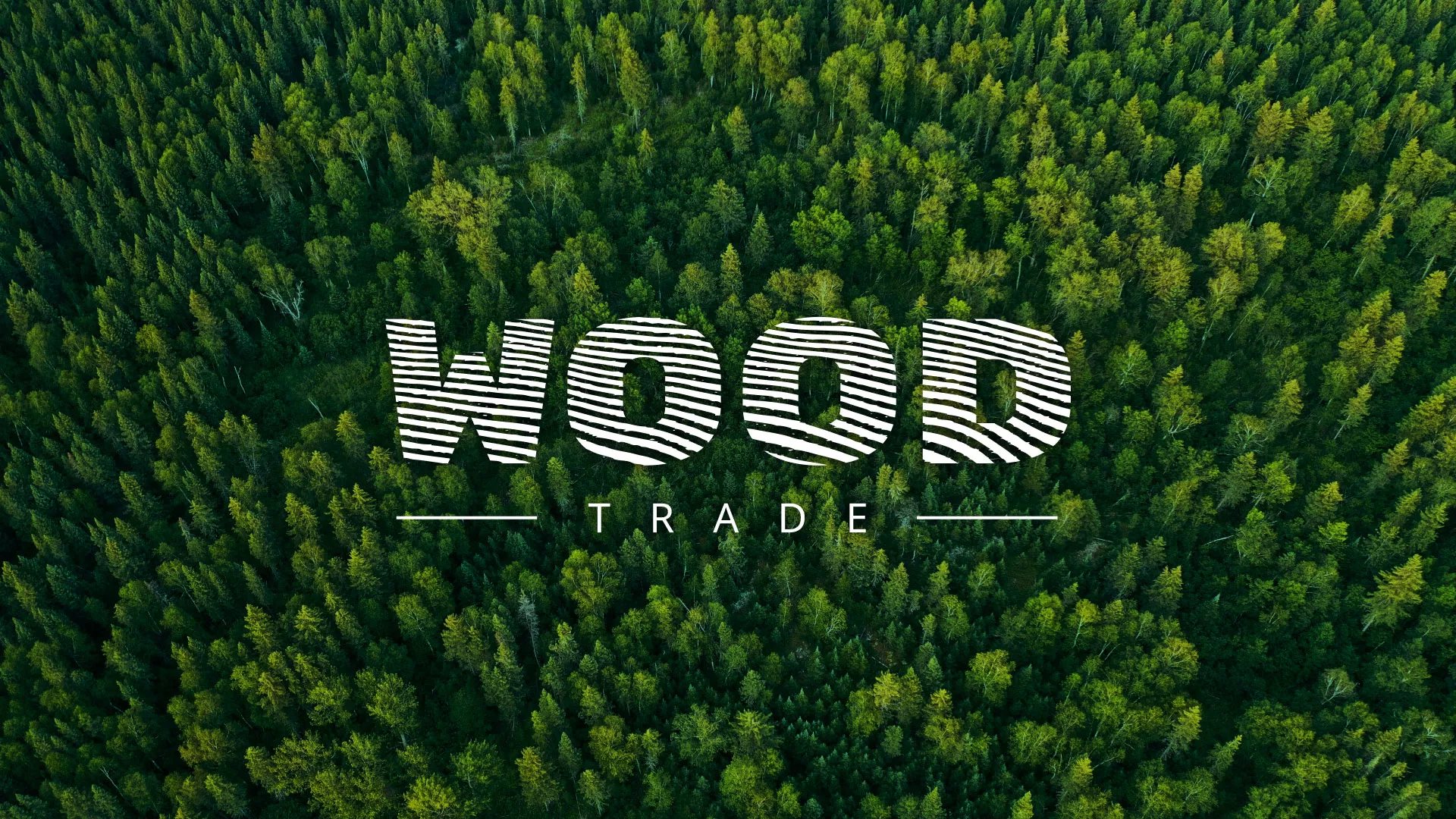 Разработка интернет-магазина компании «Wood Trade» в Короче