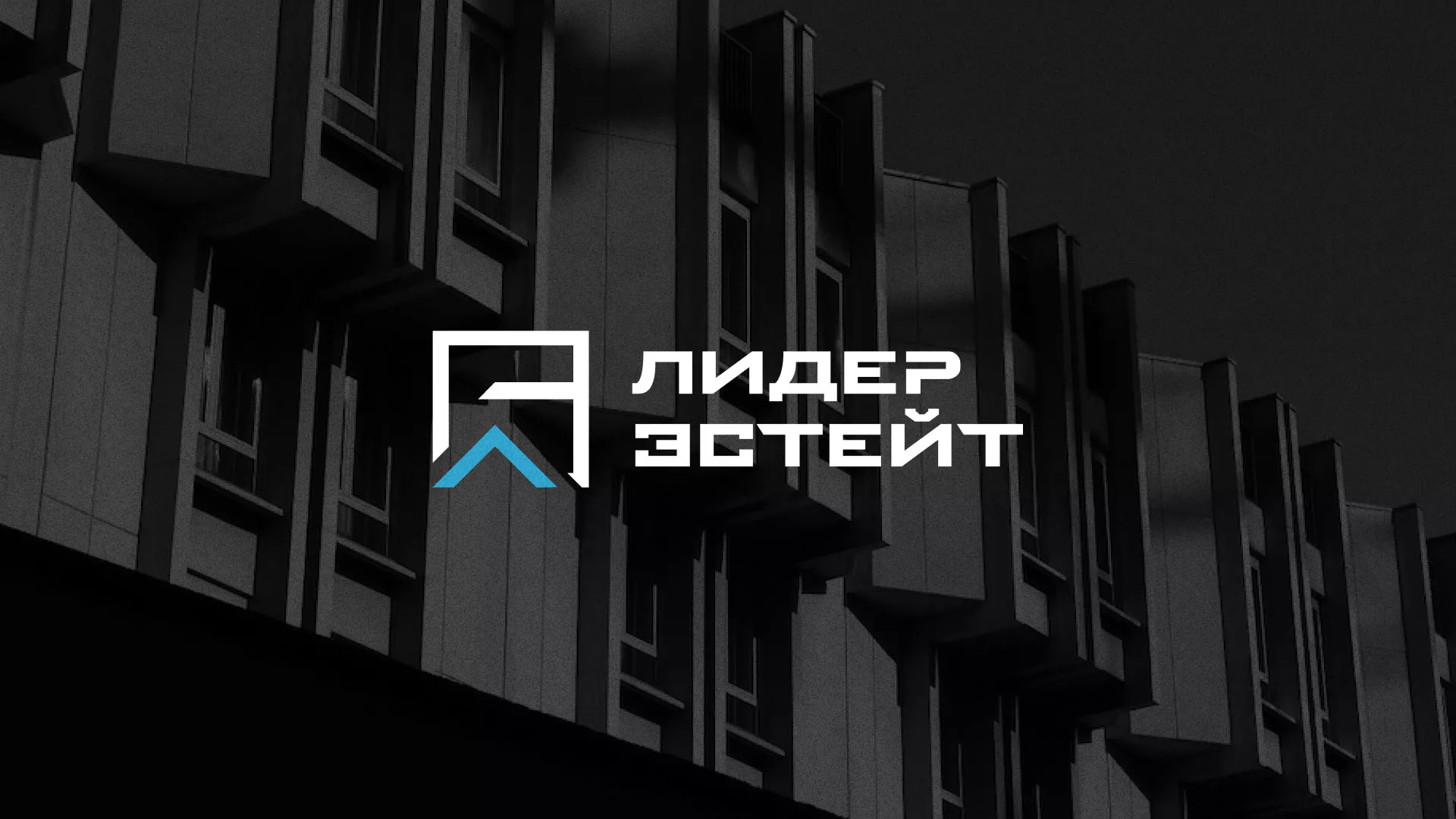 Разработка логотипа агентства недвижимости «Лидер Эстейт» в Короче