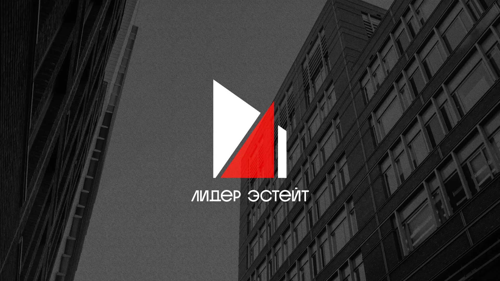 Сделали логотип для агентства недвижимости «Лидер Эстейт» в Короче